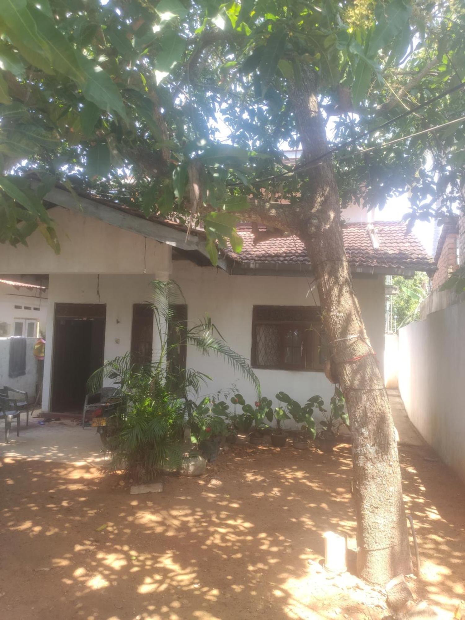 Homestay Menik's Place *
