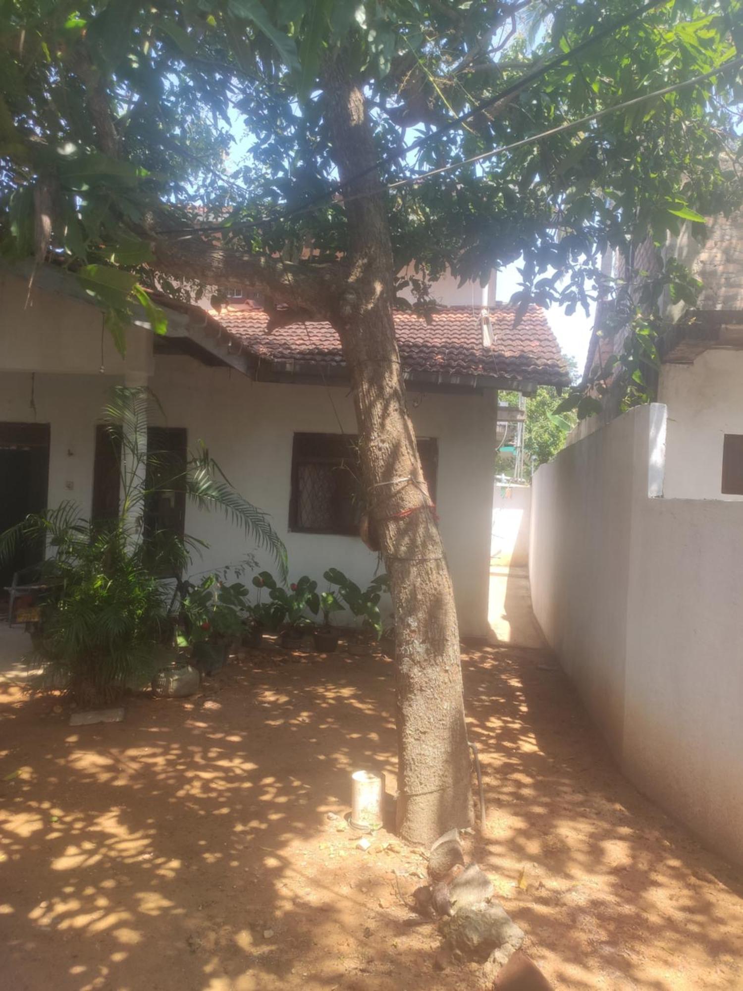 Menik's Place Homestay Mirissa