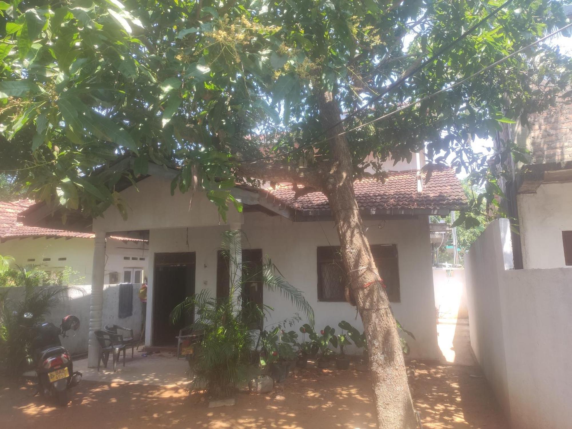 Homestay Menik's Place Mirissa
